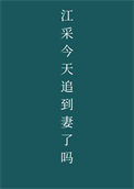 《江采今天追到妻了吗》封面