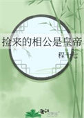 《捡来的相公是皇帝》封面