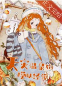 《极寒天灾温泉街模拟经营》封面