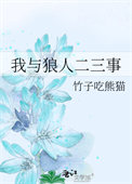 《我与狼人二三事》封面