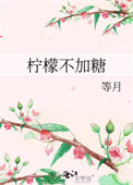 《柠檬不加糖》封面