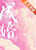 《成婚》封面