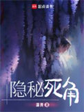 《隐秘死角》封面