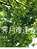 《霁月难逢》封面