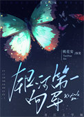 《银河第一向导》封面