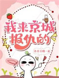《我来京城报仇的》封面