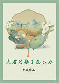 《夫君另娶了怎么办》封面