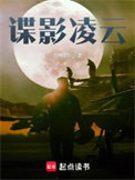 《谍影凌云》封面