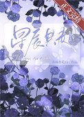《星辰共赴[古穿未]》封面