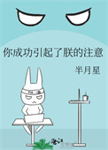 《你成功引起了朕的注意》封面