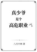 《真少爷是个高危职业》封面