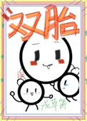 《给暴娇陛下生双胞崽[星际]》封面