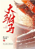 《大驸马》封面