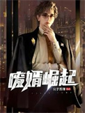 《废婿崛起》封面