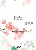 《贵妃》封面