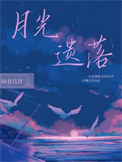 《月光遗落》封面