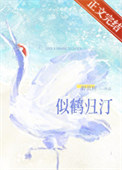 《似鹤归汀》封面