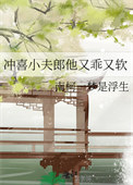 《冲喜小夫郎他又乖又软》封面
