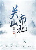 《关山南北》封面