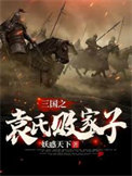 《三国之袁氏败家子》封面