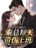 《夫人太暴力，秦总每天带伤上班》封面