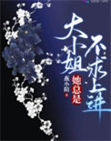 《大小姐她总是不求上进》封面