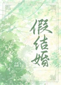《假结婚［娱乐圈］》封面