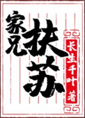 《家兄扶苏》封面