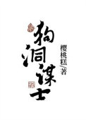 《狗洞谋士》封面
