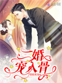 《二婚宠入骨》封面