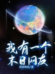 《我有一个末日网友》封面