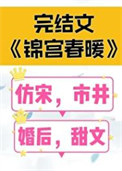 《锦宫春暖》封面