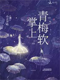 《掌上青梅软》封面