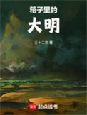 《箱子里的大明》封面