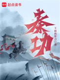 《秦功》封面