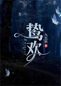 《鸷欢》封面