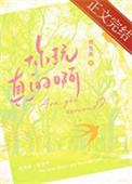 《你玩真的啊》封面