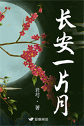 《长安一片月》封面