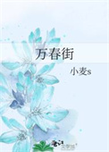 《万春街》封面