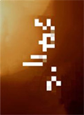 《笼中月》封面