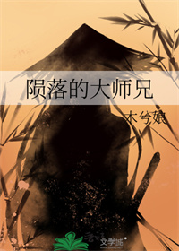 《陨落的大师兄》封面