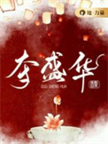 《夺盛华》封面