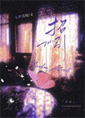 《冰川蝴蝶》封面