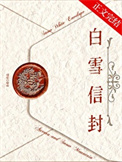 《白雪信封》封面
