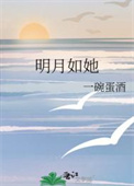 《明月如她》封面
