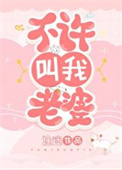 《不许叫我老婆》封面