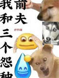 《我和三个怨种前夫》封面