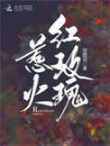 《惹火红玫瑰》封面