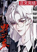 《当野心家进入无限世界》封面