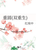 《重圆(双重生)》封面